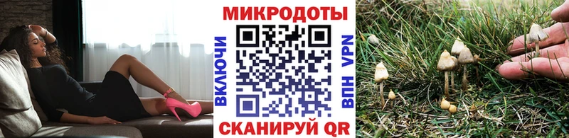 купить  цена  Ростов  Галлюциногенные грибы мицелий 